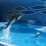 Arade * פורטימאו